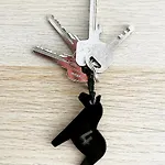 Privat bolig Dluga 100 *